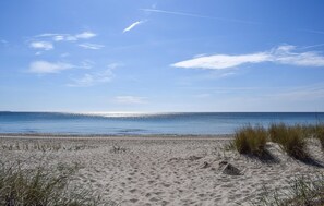 Une plage de sable avec une végétation clairsemée et un ciel bleu dégagé.