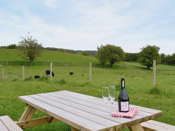 Outdoor dining - 3 bedroom accommodation in Penybont, near Llandrindod Wells (Penybont, near Llandrindod Wells)