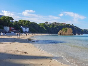 Fishing - Breathtaking front-line sea views from both the lounge and main bedroom. (Tenby)