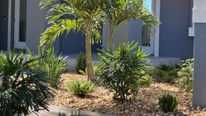 Un giardino curato con palme e siepi varie, un vialetto in pietra e un edificio dal design moderno con ingresso ad arco.
