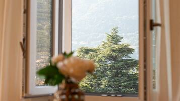 公寓, 湖景 | 高級寢具、羽絨被、熨斗/熨衣板、搖籃/嬰兒床