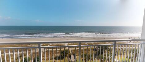 Condo, 1 quarto | Área da propriedade