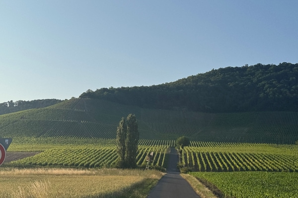 Fränkische Weinberge