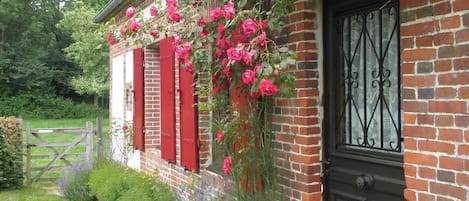 Details aan de buitenkant