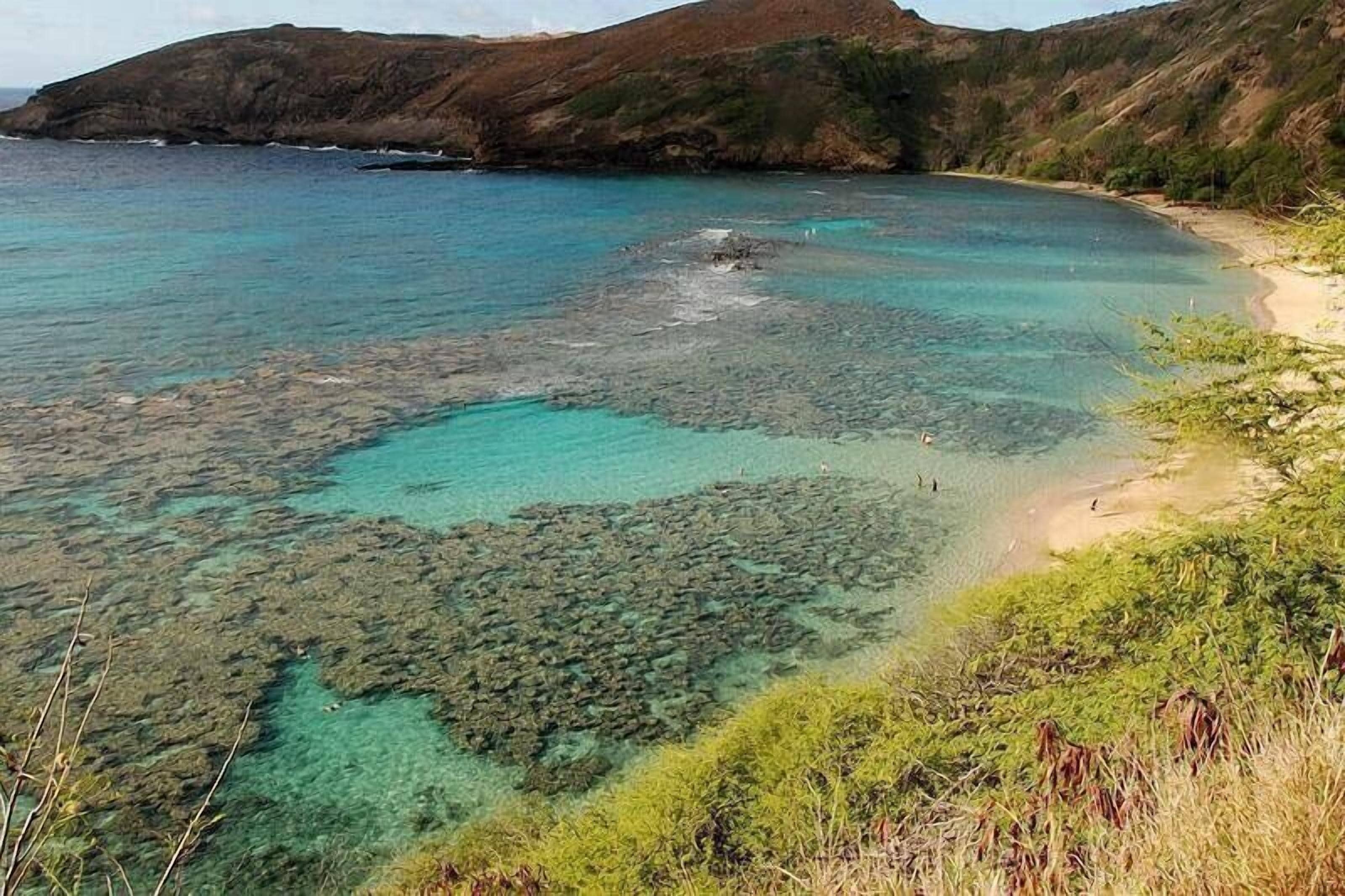 Plage à proximité