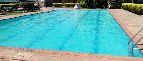 A rectangular swimming pool with a clear blue water surface, surrounded by a brick border.