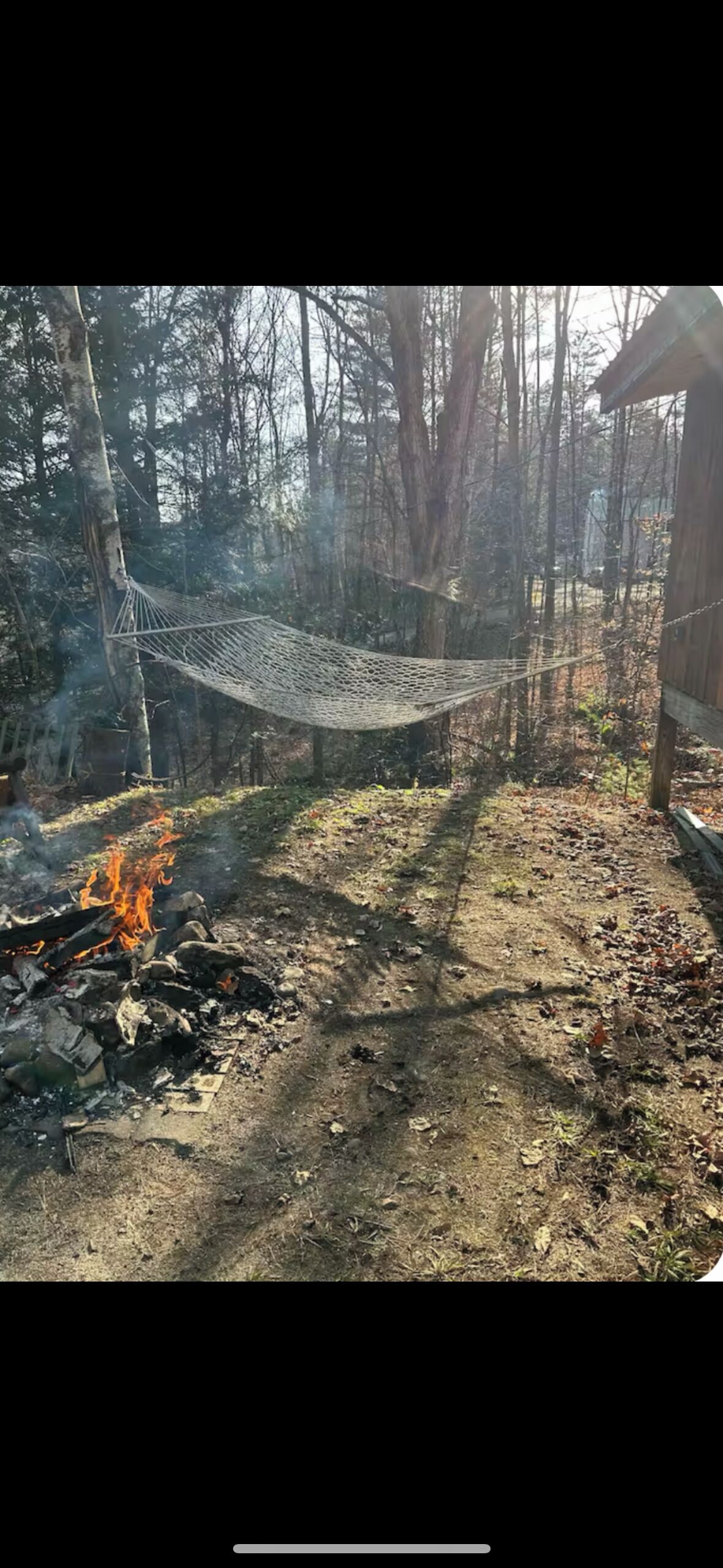 A hammock tied between trees in a forested area with a fire burning on the ground.
