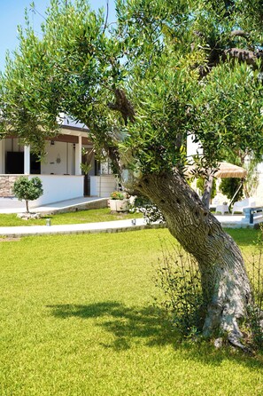 Property grounds - Villa RiRò Bari (Bari)