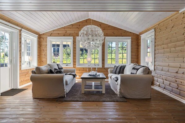 Televisión y chimenea 