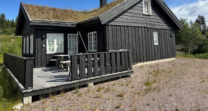 HÄvi Solsiden 16B