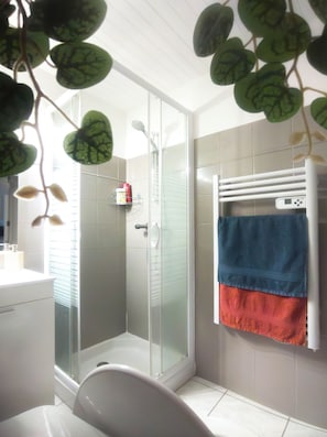 Shower, hair dryer, towels, soap