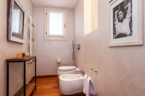 Shower, hair dryer, bidet, towels
