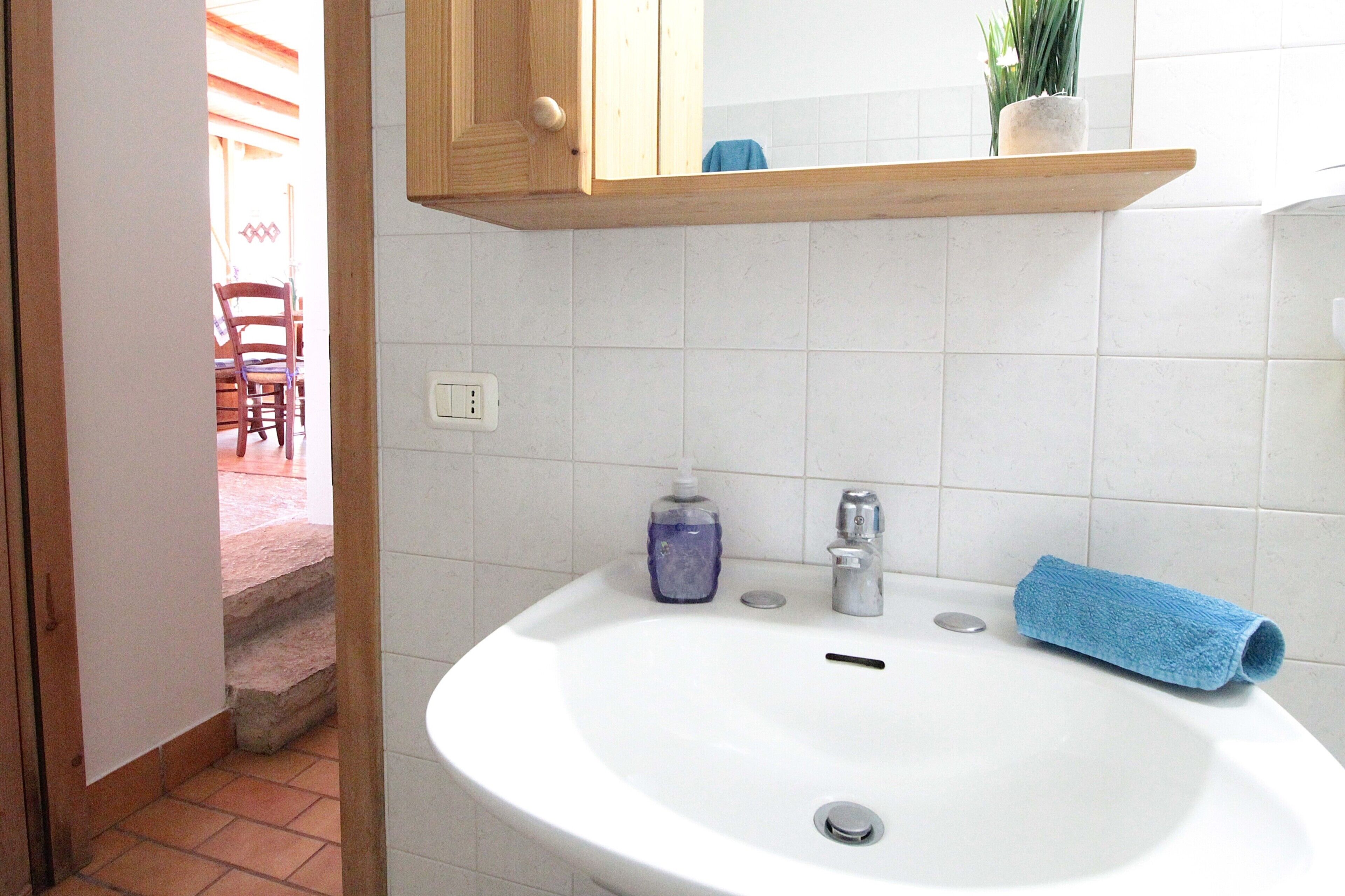Cabin, Mountain View | Bathroom | Hair dryer, towels
