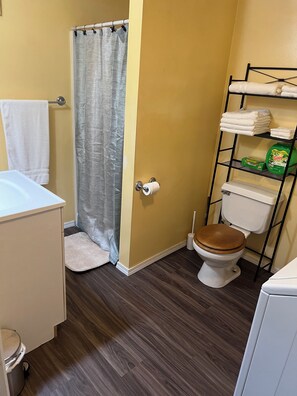 Hair dryer, towels, soap, toilet paper - 1 bedroom apartment in Ketchikan (Ketchikan)