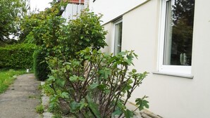 外观细节