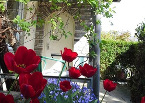 En trädgård med röda blommor, en stenmur och en grön metallstol.