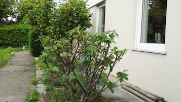 Außendetails
