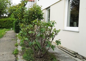 Außendetails