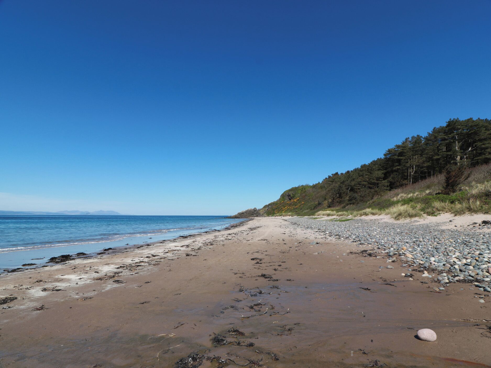 Nära stranden