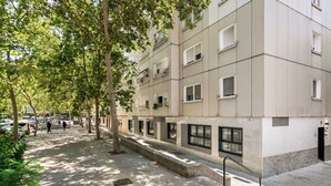 Un edificio de varios pisos con fachada limpia y moderna, un paseo techado para peatones y árboles que dan sombra.
