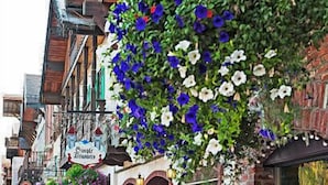 Una calle bordeada de edificios tradicionales, algunos con macetas de flores colgando de las ventanas.