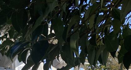 Relaxation at the crossroads of the Bastides tarnaises