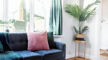 Smart TV, fireplace, offices