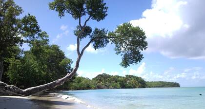 Studio with sea view, beaches, restricted pool access, bar restaurant, car rental