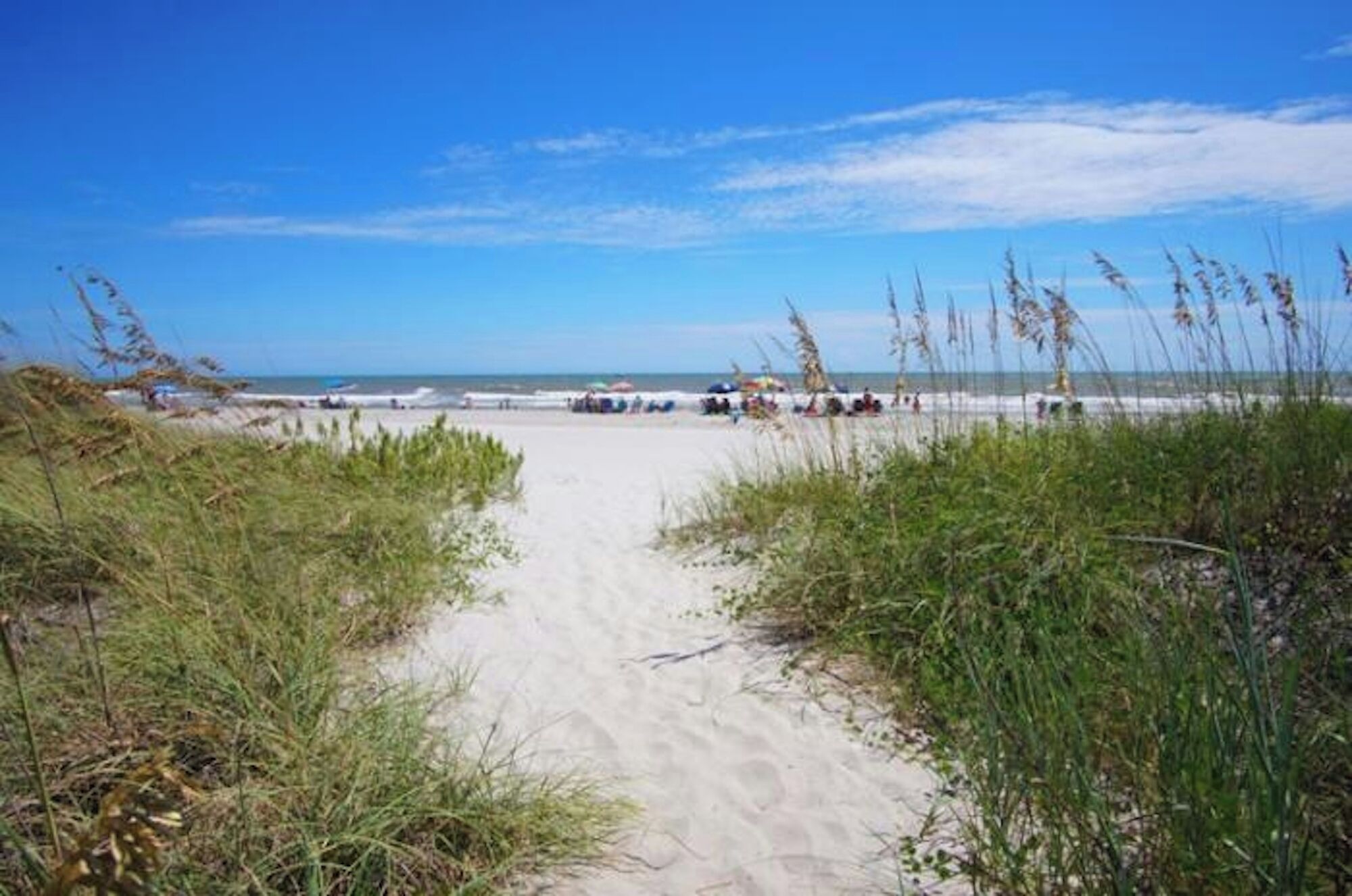 A sandy beach path leading to the ocean with sparse vegetation on either side.