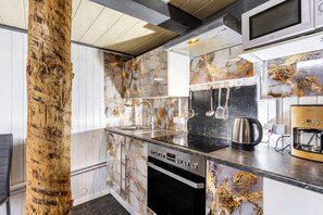 Frigorífico, microondas, horno y placa de cocina