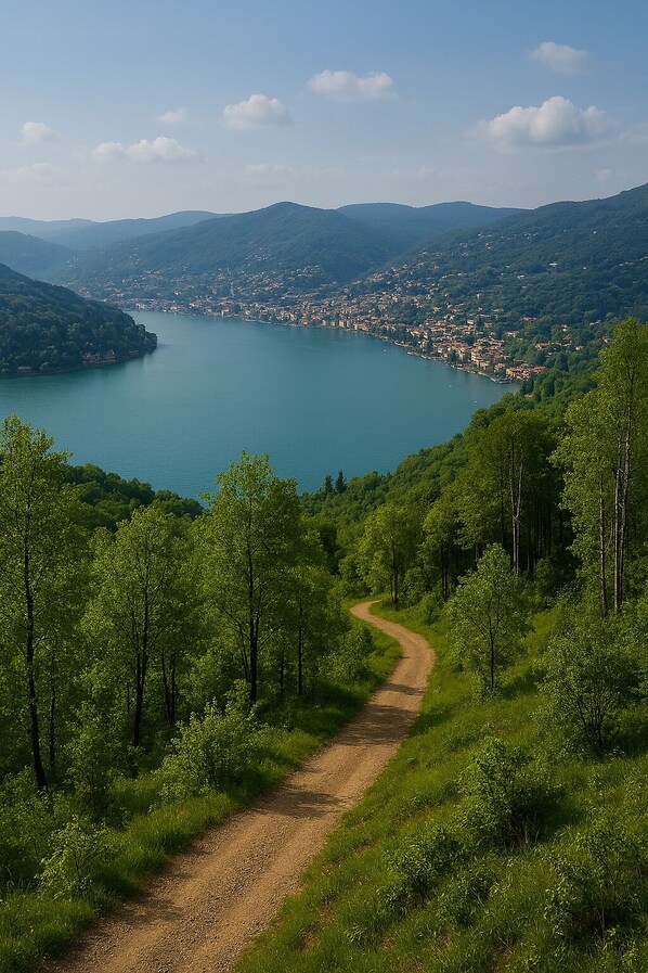 Un paysage magnifique : un lac entouré de montagnes et un sentier bordé d’arbres qui mène à une ville.