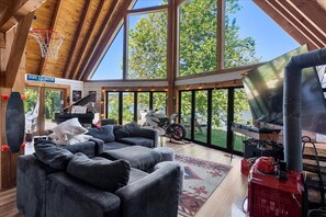 Televisio, takka, kirjoja, stereot