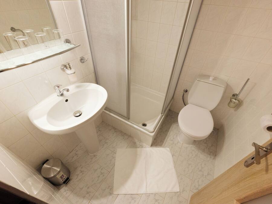 Une salle de bain équipée d’un lavabo, de toilettes, d’une douche et d’une poubelle.
