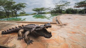 A crocodile statue on a stone patio with a pool and trees in the background. - Mara hilltop (Maasai Mara)