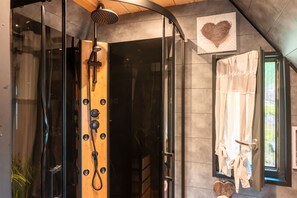 Shower, hair dryer, towels