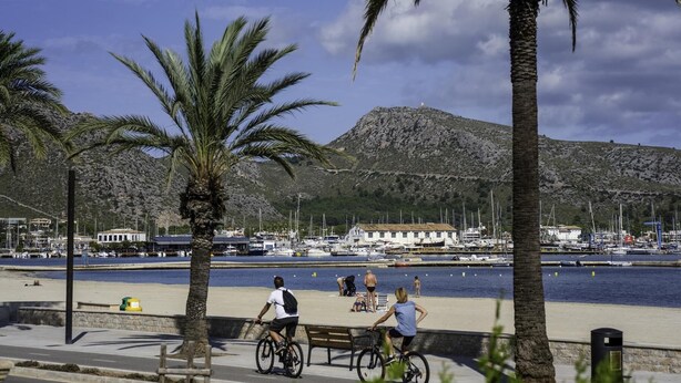 A coastal promenade with palm trees, a bicycle path, and a marina with boats.