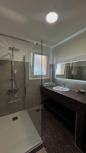 Shower, towels, soap, toilet paper