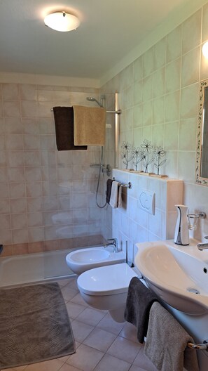 Shower, hair dryer, bidet, towels
