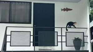Una habitación con un ventanal grande, una puerta, un adorno de pez montado en la pared, una mesita y una planta en maceta.