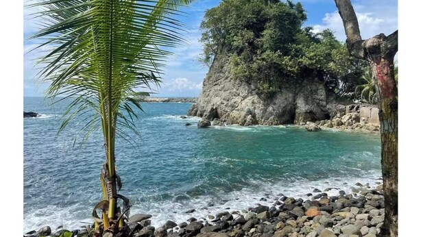 Una costa rocosa con agua azul cristalina, una palmera y un acantilado cubierto de vegetación densa.