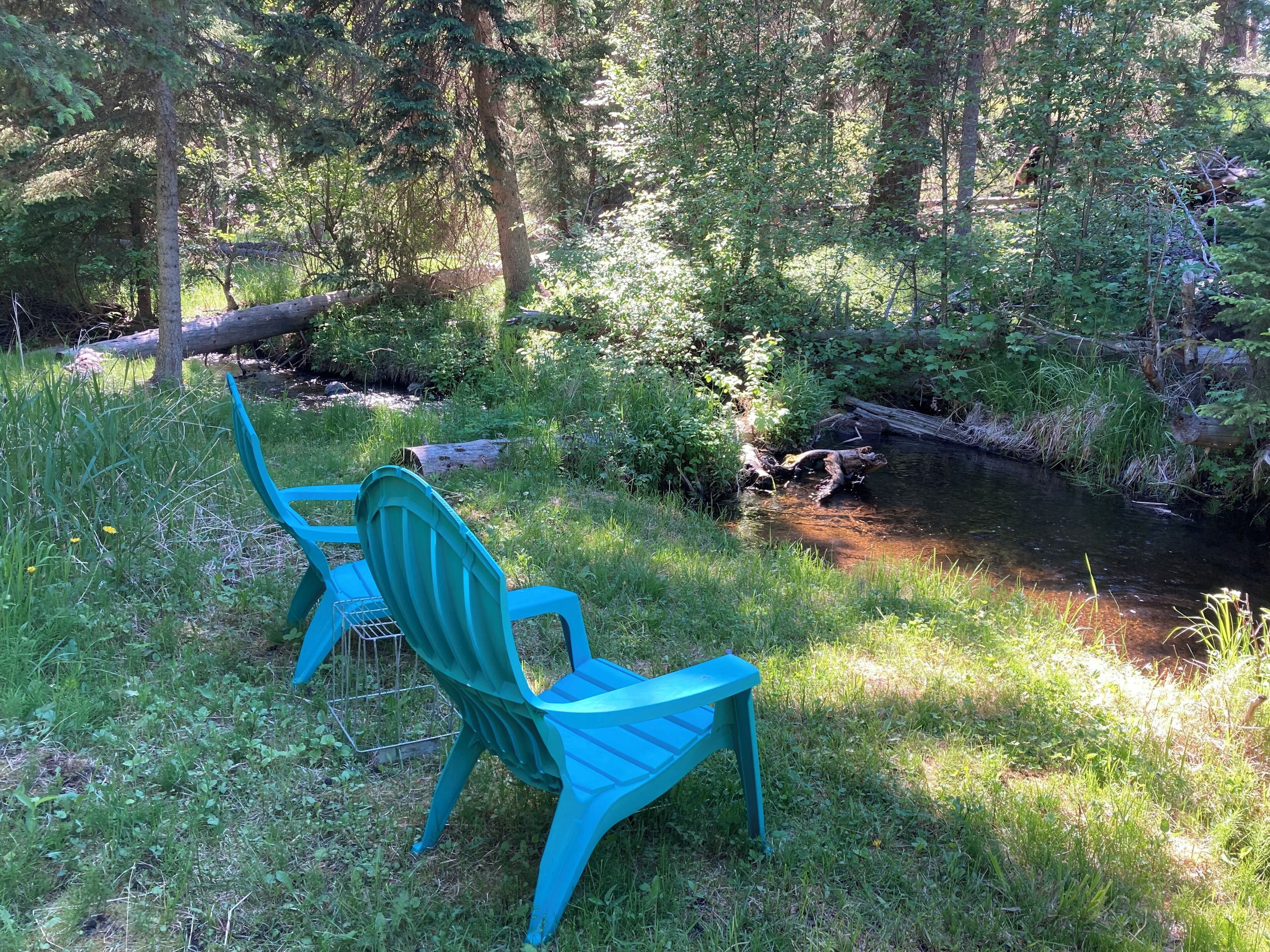 A chair in a natural setting near a stream.
