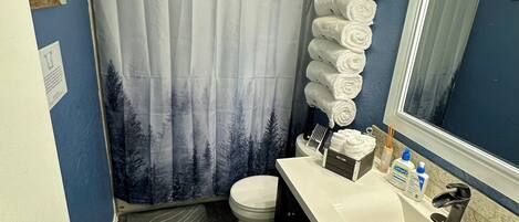 Séchoir à cheveux, serviettes fournies, savon, papier de toilette