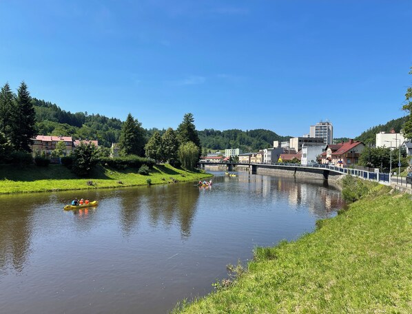 A river with a bridge and buildings in the background.