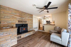 Smart TV, fireplace, ping pong, books