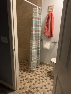 Hair dryer, towels, soap, toilet paper