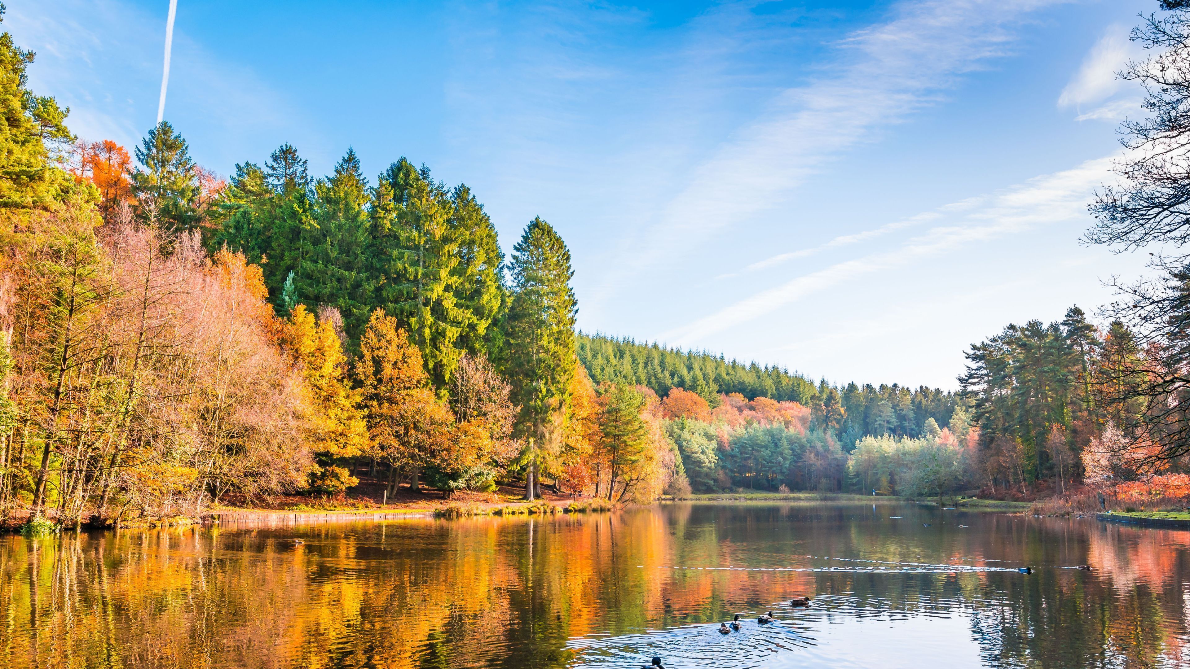 A serene lake surrounded by autumn-colored trees.