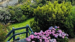 A coastal landscape with a rocky beach, a winding road, and lush greenery. - The Nook - relaxing home breathtaking ocean views (Wye River)