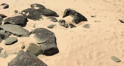 Grey River Beach House - 10 minutes to Wye