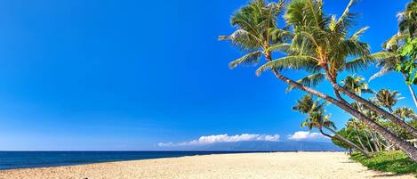 Condo (3 Bedrooms) | Front of property