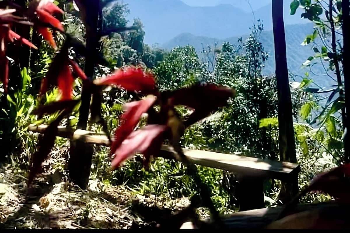 Comfort Shared Dormitory, Mountain View | Desk, laptop workspace, free WiFi